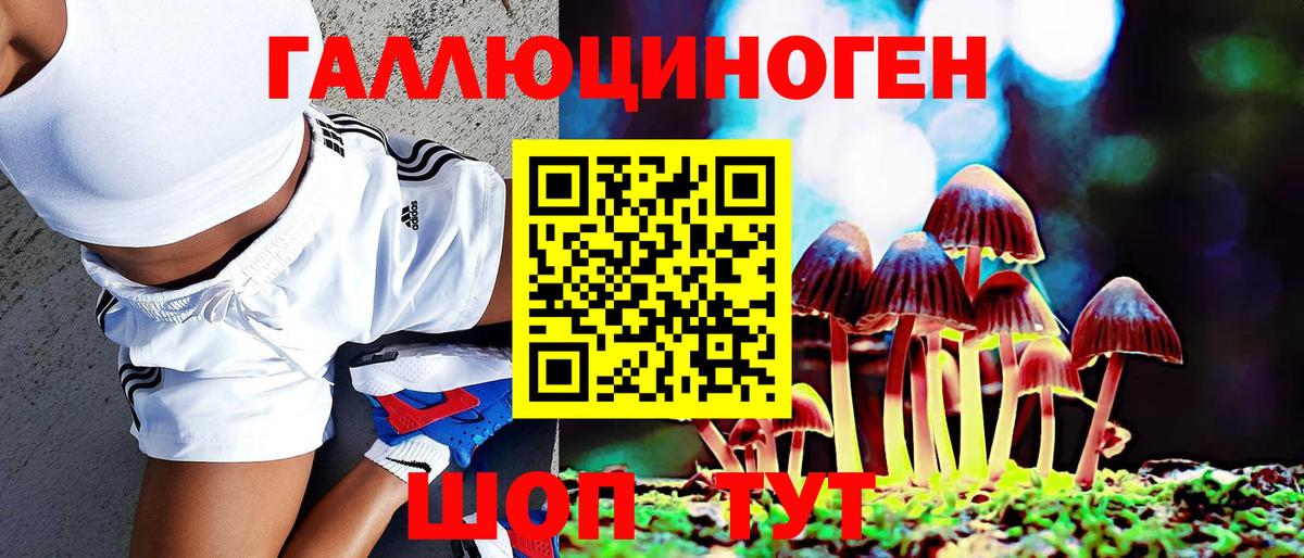 Псилоцибиновые грибы Psilocybe  Псилоцибиновые грибы MAGIC MUSHROOMS  Кунгур  сколько стоит  Вход с VPN 