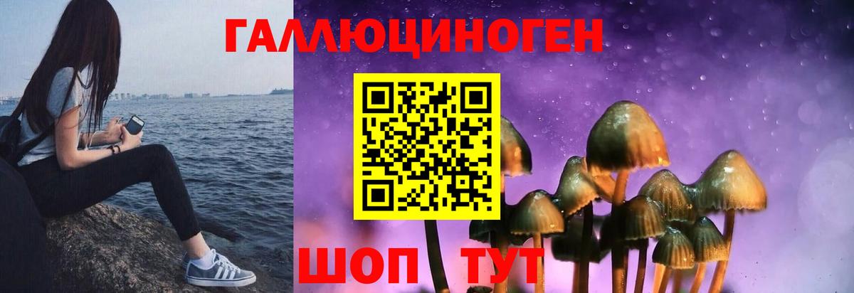 Галлюциногенные грибы MAGIC MUSHROOMS Кунгур