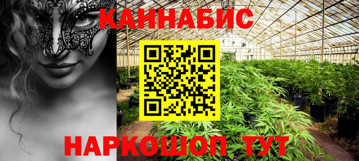 Канабис Bruce Banner Кунгур